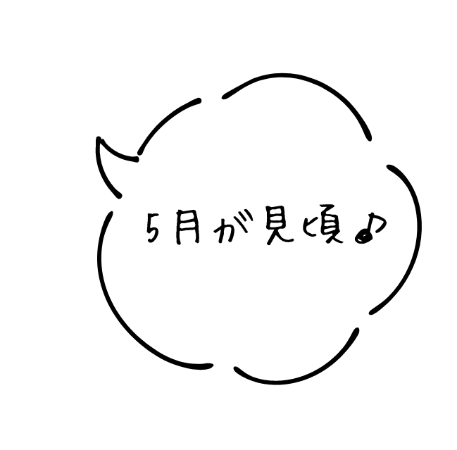 プロムナードの藤棚の意味は？